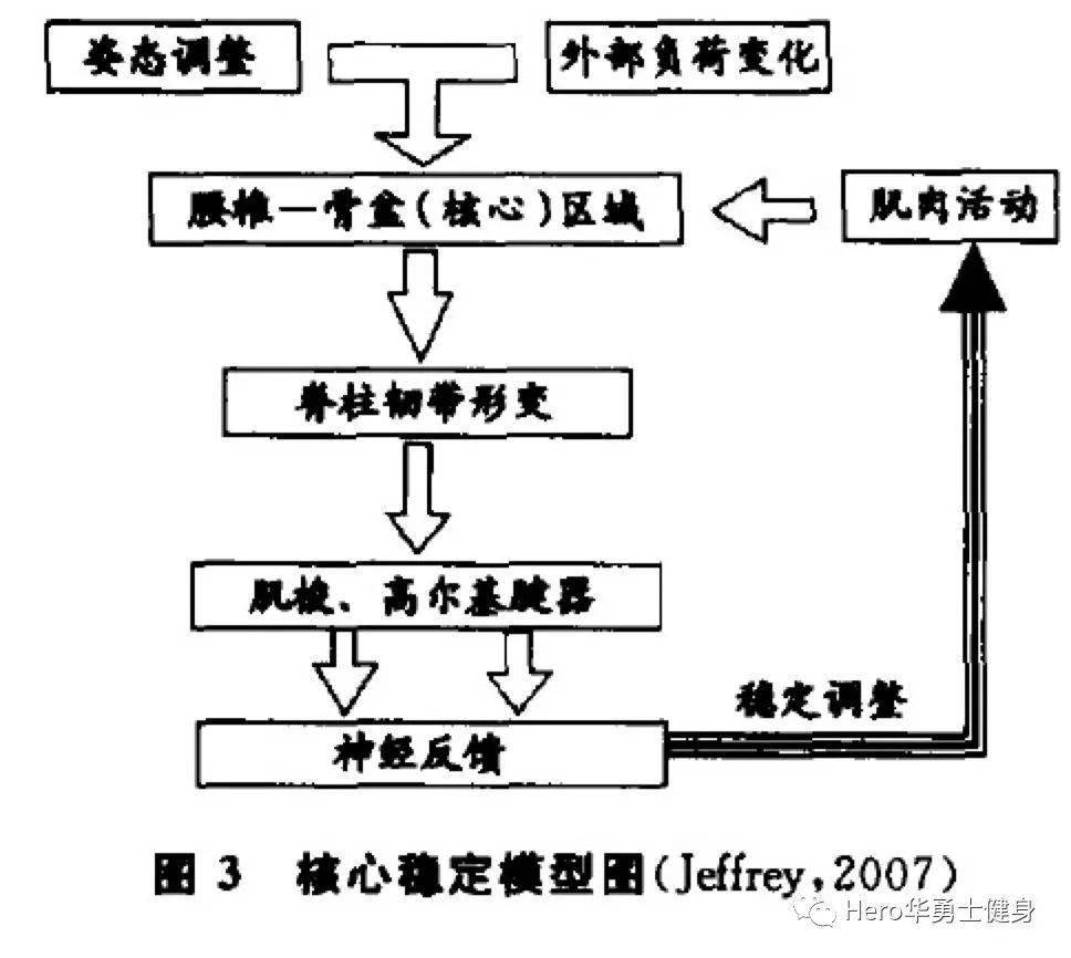 體育與體育科學(xué)的區(qū)別和聯(lián)系,體育與體育科學(xué)的區(qū)別和聯(lián)系，從定義到實(shí)踐經(jīng)驗(yàn)解析,數(shù)據(jù)解析支持設(shè)計(jì)_十三行75.45.13