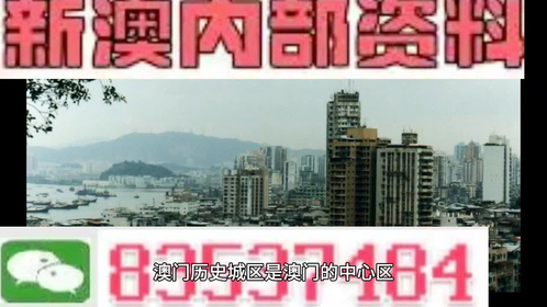 2021澳門精準(zhǔn)資料大全免費農(nóng)民工,關(guān)于澳門精準(zhǔn)資料大全的理論分析與解析說明——以農(nóng)民工群體為視角（kit67.32.50）,高速規(guī)劃響應(yīng)方案_精簡版17.17.99