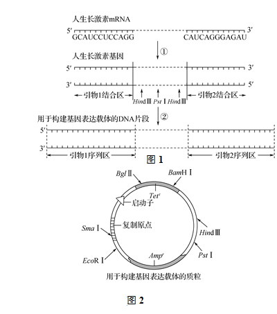 pcr擴增儀使用步驟,PCR擴增儀使用步驟與實地驗證設計解析,專業(yè)分析解析說明_app29.29.35