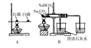 打夯機(jī)與壓鑄模材料哪個(gè)好,打夯機(jī)與壓鑄模材料對(duì)比及實(shí)效策略解析,資源實(shí)施方案_祝版51.35.77