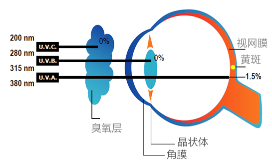 運動裝配什么眼鏡,運動裝配眼鏡的選擇與靈活操作方案設(shè)計——社交版視角的探索,權(quán)威方法解析_挑戰(zhàn)款57.32.39