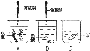 2024年12月22日 第8頁