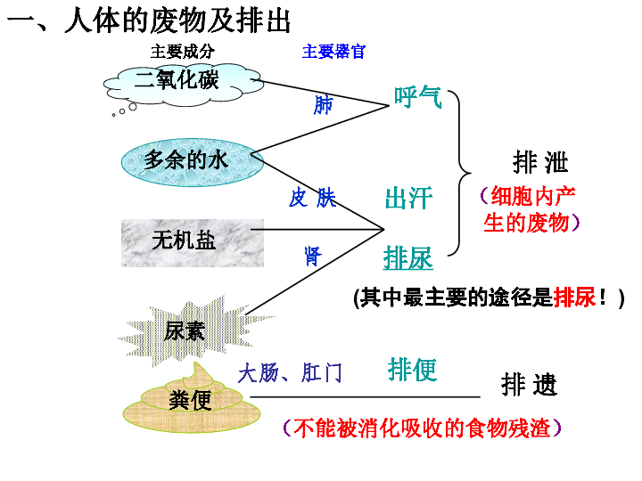 笑挽