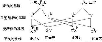 毛絨織物,毛絨織物，從實(shí)證研究的視角解析說明,精準(zhǔn)解答解釋定義_UHD版74.22.29