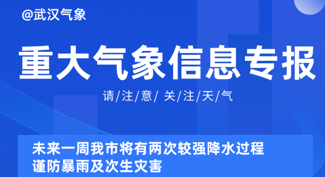 新澳精準資料免費提供630期2025,新澳精準資料免費提供，深度分析與數(shù)據(jù)挖掘之旅的第630期展望（頭版，36.19.20）到2025年,深度應用數(shù)據(jù)策略_錢包版76.37.76