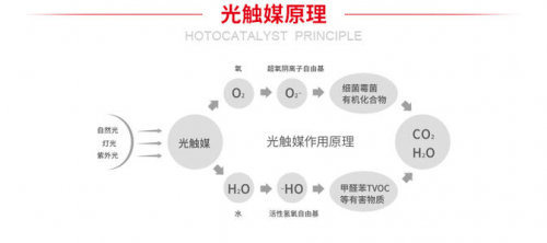 光觸媒噴墻上會脫落嗎,光觸媒在墻上的應用，是否會脫落？定義與定量解答解釋,互動策略解析_Premium44.76.94