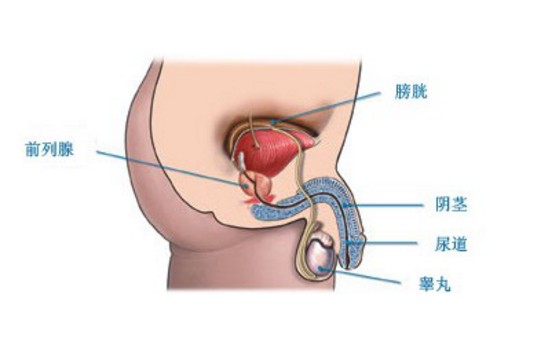 前列腺炎費(fèi)用多少,前列腺炎費(fèi)用多少？系統(tǒng)研究解釋定義及專業(yè)分析,最新分析解釋定義_Device82.50.63