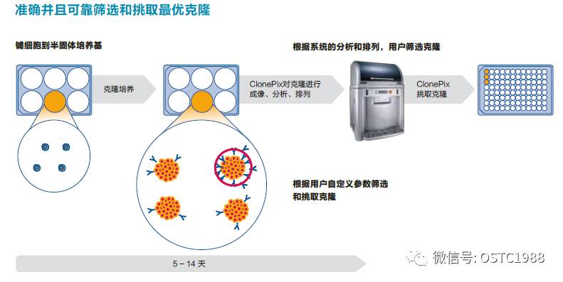 冰染染料的特點,冰染染料的特點及高效分析說明——書版48.24.20,快速落實方案響應(yīng)_GT75.29.45