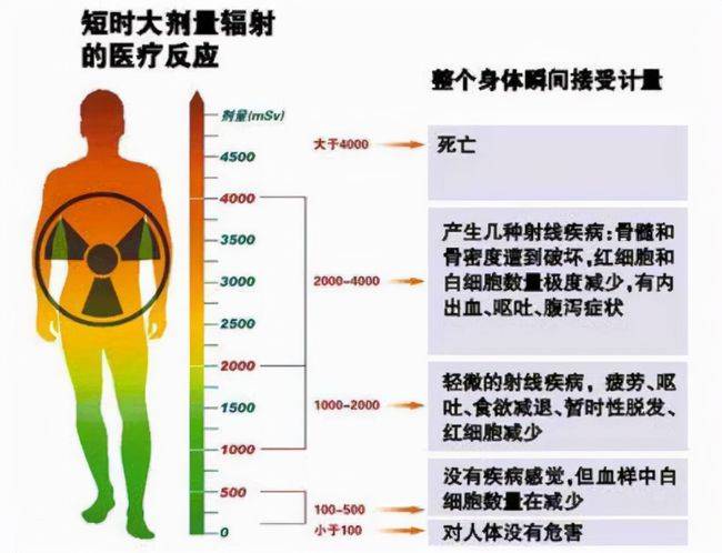 鉛衣是啥,鉛衣是什么？全面解析數(shù)據(jù)設(shè)計(jì)背后的故事,實(shí)地考察數(shù)據(jù)設(shè)計(jì)_set47.77.43