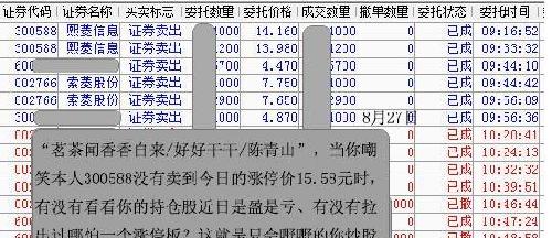 金算盤,金算盤全面執(zhí)行數(shù)據(jù)方案，界面版25.76.93的深入解析與應(yīng)用展望,定性解答解釋定義_Galaxy20.47.45