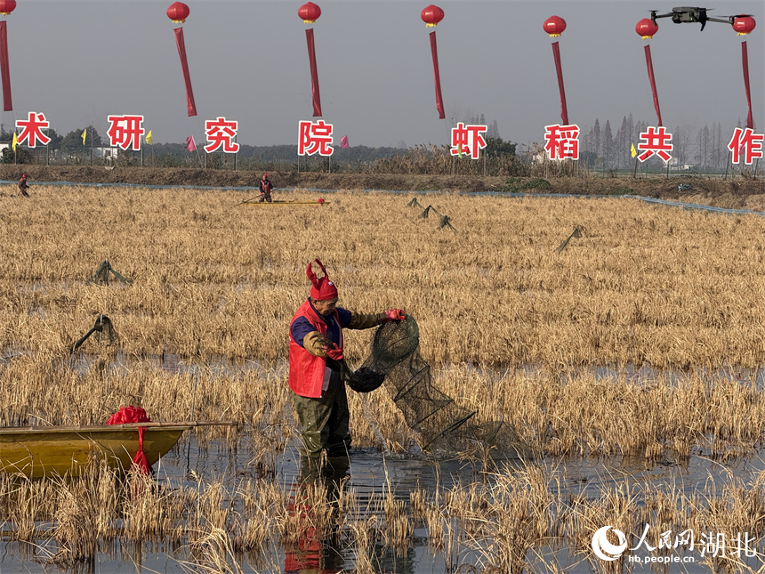 是的，湖北潛江的冬蝦已經(jīng)開(kāi)始搶鮮上市。潛江是一個(gè)水產(chǎn)養(yǎng)殖大市，小龍蝦產(chǎn)業(yè)是其特色產(chǎn)業(yè)之一，而冬蝦作為小龍蝦中的一種，也備受關(guān)注。隨著天氣逐漸降溫，冬蝦的生長(zhǎng)速度逐漸減緩，但潛江的養(yǎng)殖戶(hù)們已經(jīng)開(kāi)始積極捕撈和銷(xiāo)售冬蝦，以滿(mǎn)足市場(chǎng)需求。由于冬蝦肉質(zhì)鮮美，受到消費(fèi)者的喜愛(ài)，因此價(jià)格也相對(duì)較高。此外，潛江的小龍蝦產(chǎn)業(yè)鏈已經(jīng)相當(dāng)成熟，從養(yǎng)殖到銷(xiāo)售再到深加工，都已經(jīng)形成了一套完整的體系。因此，潛江的冬蝦搶鮮上市，不僅滿(mǎn)足了市場(chǎng)需求，也為當(dāng)?shù)亟?jīng)濟(jì)發(fā)展帶來(lái)了不小的貢獻(xiàn)。