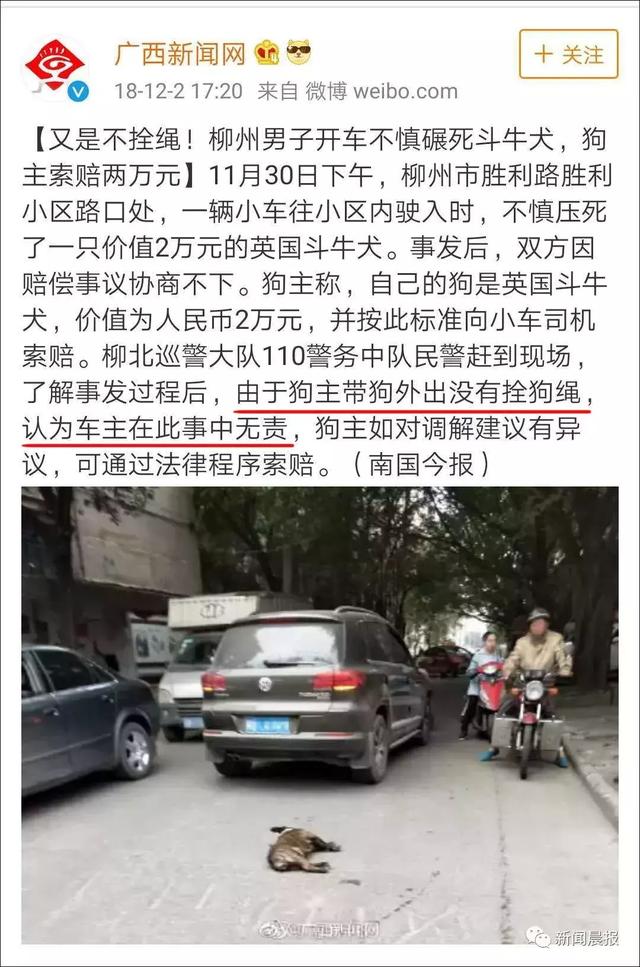 男子與無(wú)人快遞車(chē)相撞被判主責(zé)